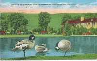 1951, Challenger Inn, Sun Valley